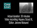 Carp Live! Delicacy