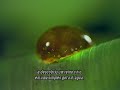 O UNIVERSO MACROSCOPICO E O MICROSCOPICO
