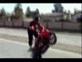 tHANKZgIVING sTREETrIDE