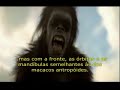 Evolu��o