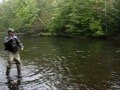 Great Lakes Spey