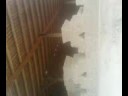 complejo arqueologico el brujo