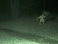 SCARY VIDEO OF A GHOST FILMED NEAR THE HILLSIDE CEMETERY .