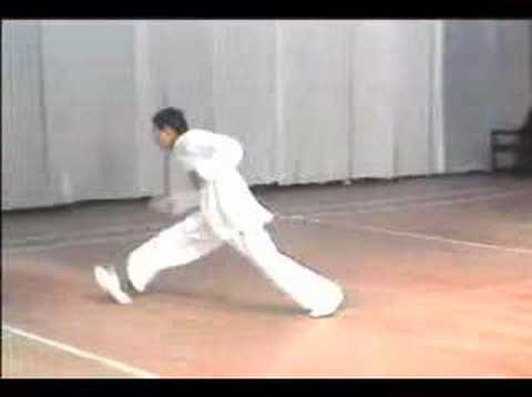 形意Bagua - 三十六飛掌是形意八卦掌武術的一部份36 Fei Zhang is a form of Chinese martial art belongs to the school of Xingyibaguazhang. www.xingyibaguazhang.com.