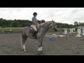 Horse Care & Buying Tips : How to Canter on Horseback