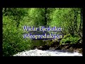 j�lster. vakker og malerisk. musikk ved dag arnesen trio. fra albumet norwegian song. bass: terje gewelt, trommer og percussion: p�l thowsen. widar bjerkaker videoproduksjon 2008.
