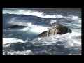 j�lster. vakker og malerisk. musikk ved dag arnesen trio. fra albumet norwegian song. bass: terje gewelt, trommer og percussion: p�l thowsen. widar bjerkaker videoproduksjon 2008.