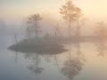 Arne Kiin - Story of a Nature Photographer (part 1)