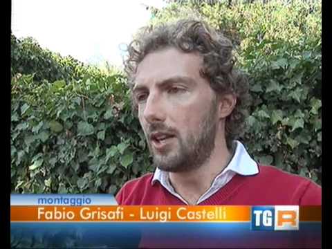 Immagine anteprima YouTube