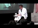 CEATEC 2008 村田製作所 セイコちゃん