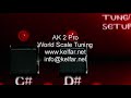 Korg Pa800 Korg Pa2x Pro expansion board Arabic and Oriental USB stick.ORDER the Ayoub Oriental from www.kelfar.net