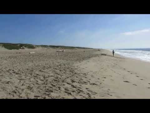 Video for Salinas River State Beach – Monterey Dunes Entrance