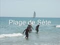lepeinairdeschènes2