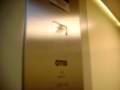 OTIS traction elevator (Going down)