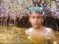 En Búsqueda del Mangle En Búsqueda del Mangle