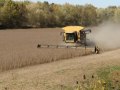 Tracked CAT Combine Harvesting Soybeans 2009