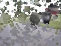 Wheelie & Stoppie Honda CBR 600 F3
