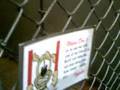 North Shore Animal League Dog Pound Long Island, NY