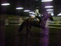 jumping casteleyn turnhout jumping casteleyn turnhout