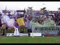 curva nord carrara
