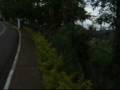 videos de Shimoda slidera Total