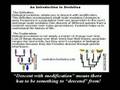 6th Foundational Falsehood of Creationism