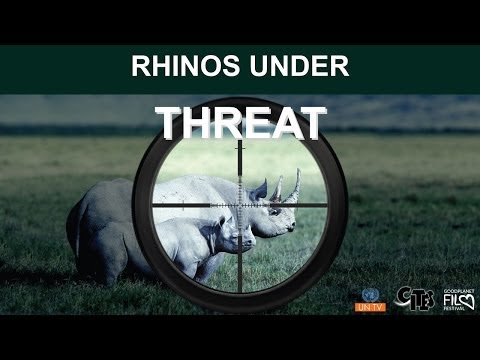 rhinos - This movie was produced by UNTV in collaboration with the CITES Secretariat in an effort to raise public awareness of the current crisis faced by rhinoceros ...