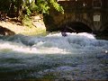 Munchen Surf