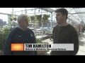 Business Spotlight - Homestead Gardens