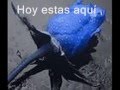 videos de CARMEN CUBILLAS .wmv