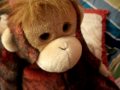 webkinz,school,
