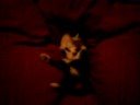 FazBez in the red beanbag