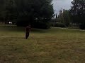 360 backflip