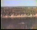 Pesca Pesca