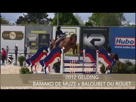 GRAIN D'OR YH6 CSI BONHEIDEN I APRIL 2018