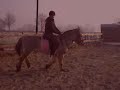 Zelfgemaakte springwedstrijd met mosje