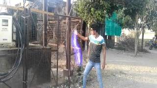 Rahul Alex Arya
