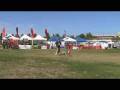 videos de Friday of the 2008 AWI World Championships