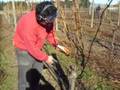Clases de Pruning...(1 parte)