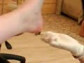 Em\