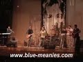 Mexico's Blue Meanies perform Paul McCartney's 'Let Em In' back in december 2005, with the help of their official horn sectionm 'The Glove Horns'.