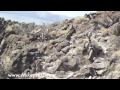 Scratch Built RC Plane flys over Lake Tahoe California