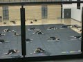 LWE winterguard parent show disturbia