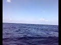 La Pesca a Lampedusa La Pesca a Lampedusa