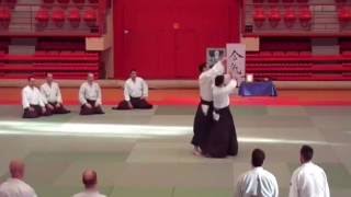 Moralzarzal 2016 Roberto Sánchez Director Técnico AETAIKI