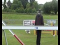 Click here to watch this video Agility Cookie Manche Agility Dimanche Selectif Par Equipe Ploërmel 2012