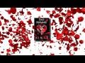 Bad Romance book trailer