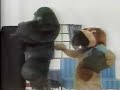 Cachorrinhos Cachorrinhos