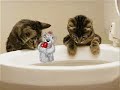 mhhh schaut einfach