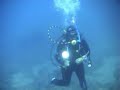 buceo en lanzarote por emerlan  meros!!